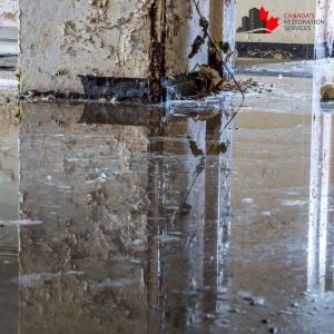 What Makes Properties Prone to Water Damage in Ottawa