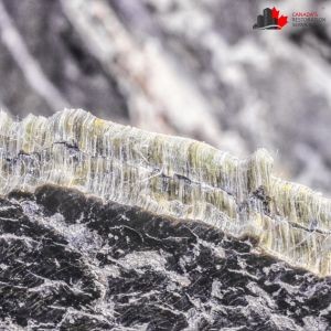 How Asbestos Removal Can Add Long-Term Value to Your Property