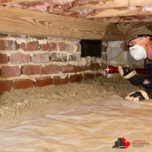 Signs Your Home is At Risk For Crawl Space Mold This Winter
