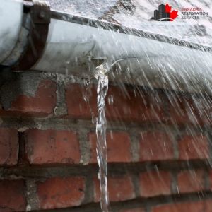 Are Your Gutters a Source of Water Damage for Your Home