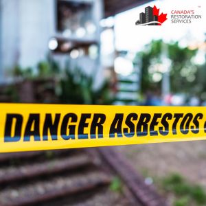 Safe Asbestos Abatement