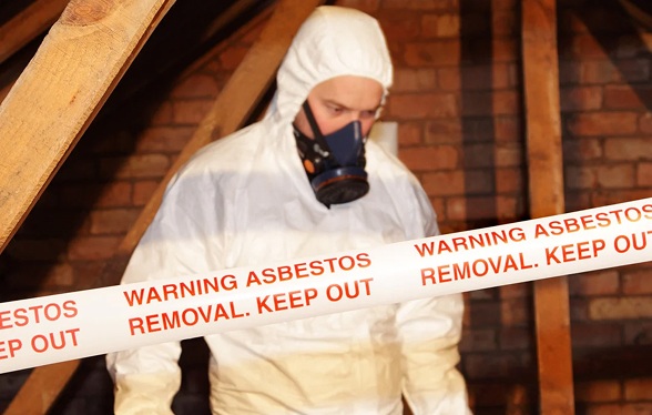 Expert Asbestos